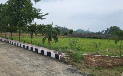 Gallery thumbnail Gowthami Vally View